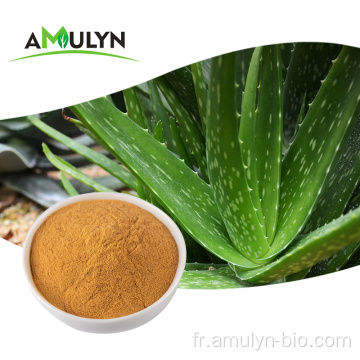 Poudre lyophilisée à feuilles entières d&#39;Aloe Vera 100:1